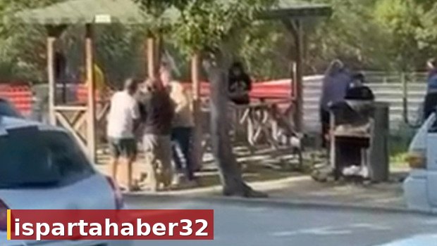 Bursa'da piknik parkında iki ailenin tekme tokat kavgası kamerada