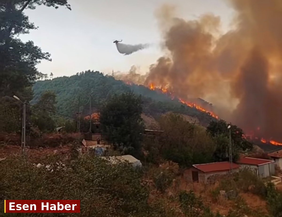 Antalya'da orman yangını. Alevler rüzgarın etkisiyle büyüdü