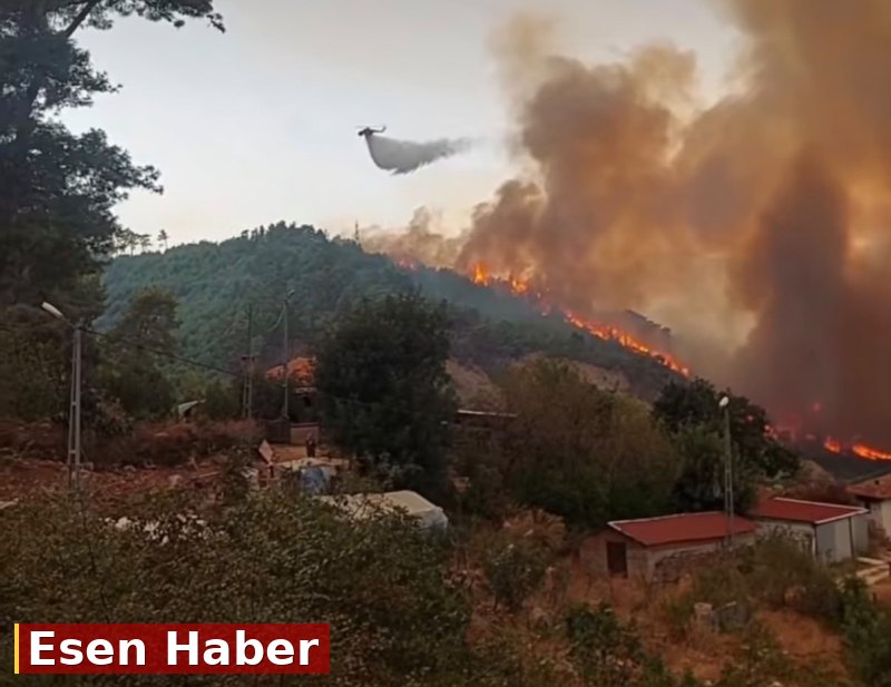 Antalya'da orman yangını. Alevler rüzgarın etkisiyle büyüdü